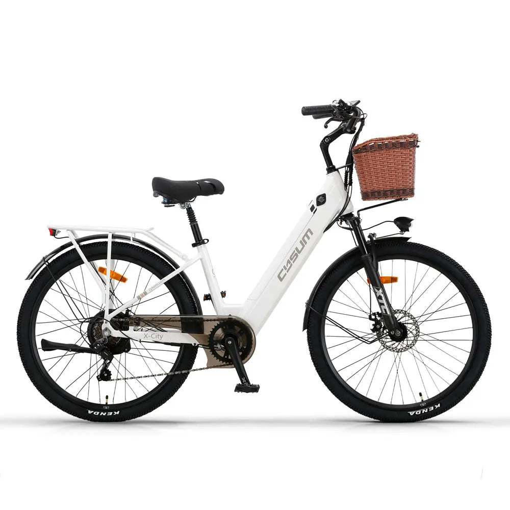 Electric Bicycle 26" 250W Motor 7S Removable Li-Battery Pedal Assist with Basket Luggage Rack Urban Unisex City Commuter E-bike