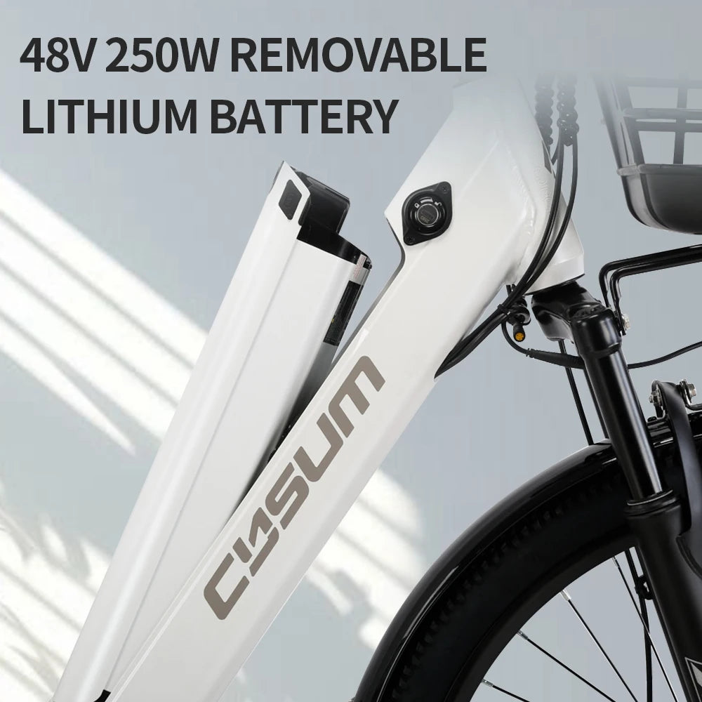 Electric Bicycle 26" 250W Motor 7S Removable Li-Battery Pedal Assist with Basket Luggage Rack Urban Unisex City Commuter E-bike